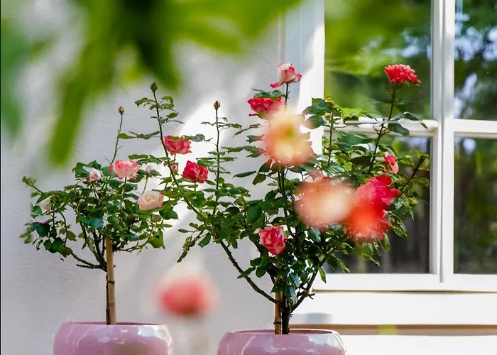 Wilhelmsthal Ξενοδοχείο