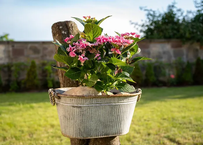 Wilhelmsthal 3* Calden